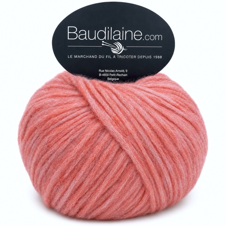 Baudilaine - Coeur des Andes