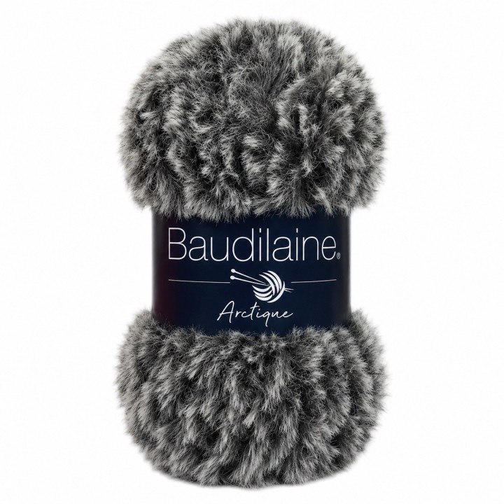 Baudilaine – Die Arktis