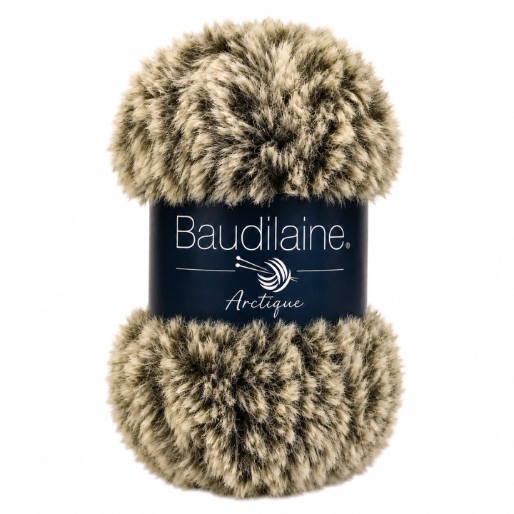 Baudilaine – Die Arktis