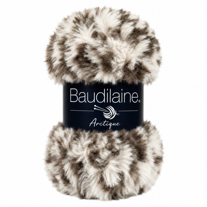 Baudilaine – Die Arktis