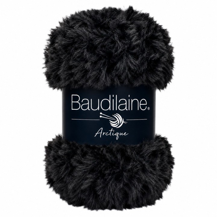 Baudilaine - L'Arctique