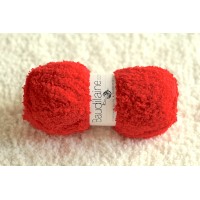 Le Teddy Ourson Rouge